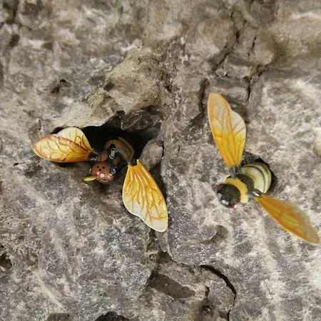 Pensión Camera Nella Roccia 3*