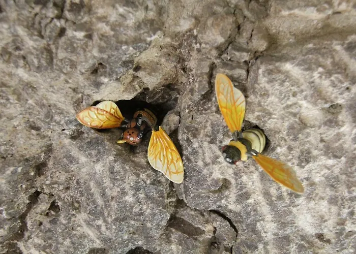 Pensjonat Camera Nella Roccia 3*